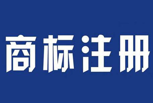 駐馬店地區(qū)食品注冊(cè)商標(biāo)與計(jì)算機(jī)技術(shù)培訓(xùn)概述